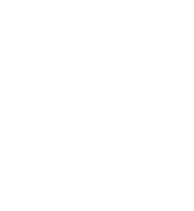 Productos de Trigo